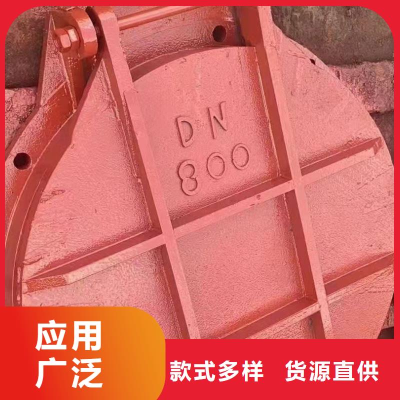 水利铸铁闸门材质保证
