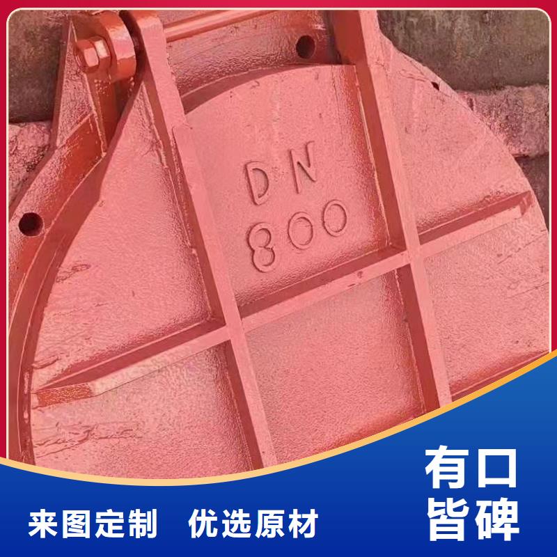 铸铁防潮闸门多少钱