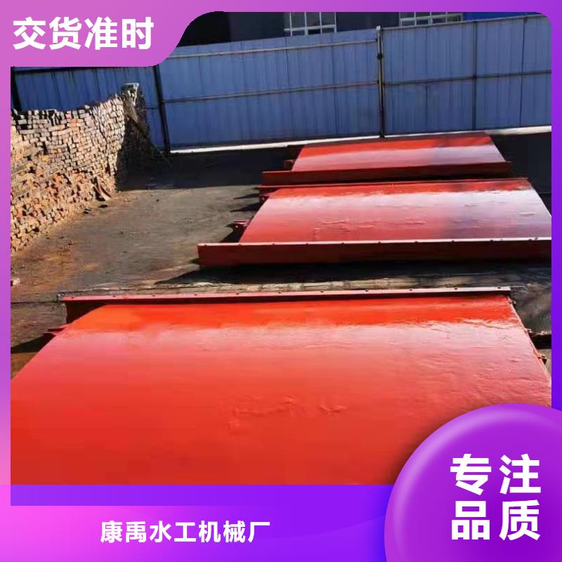 铸铁防潮闸门批发厂家
