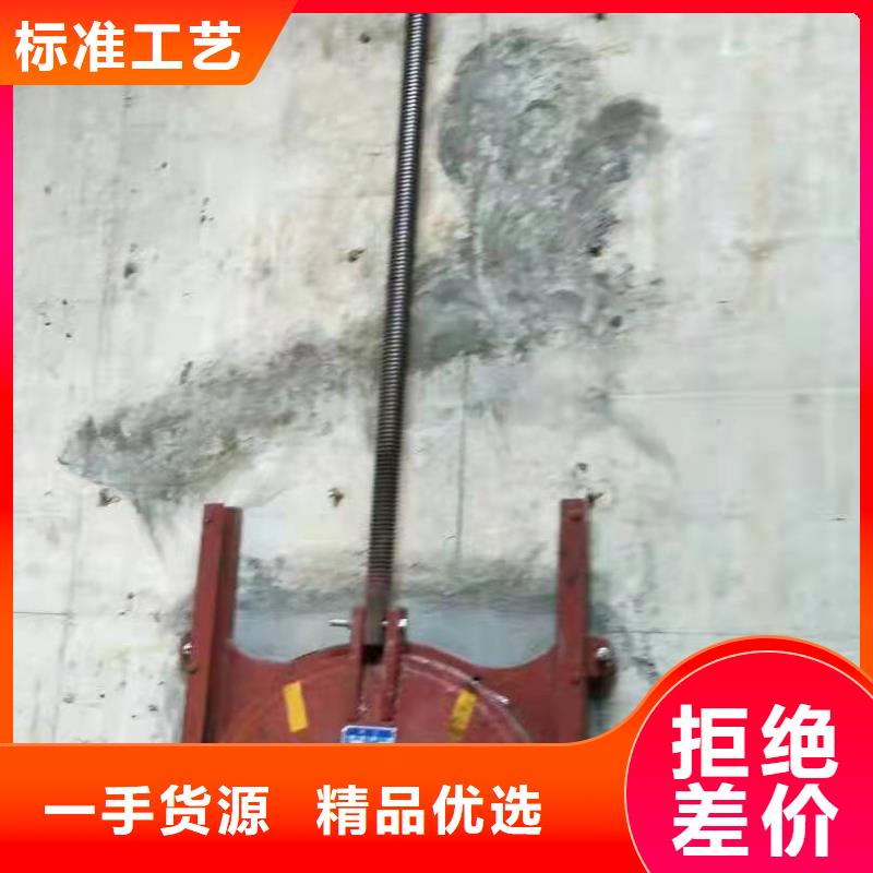 双向止水闸门欢迎电询