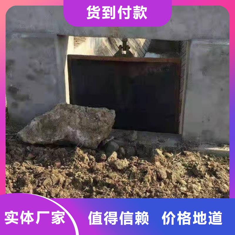 高扬程卷扬启闭机厂家