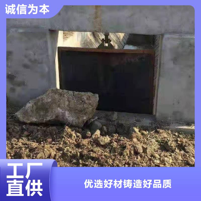 球墨铸铁闸门规格齐全