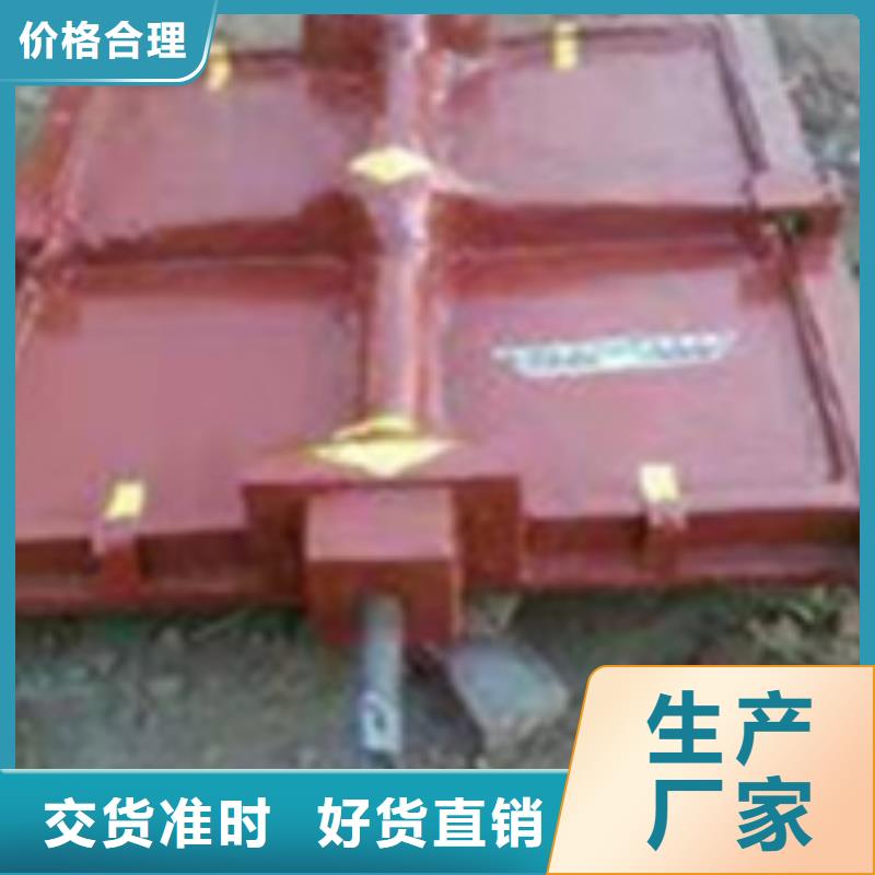 泵站铸铁闸门支持定制