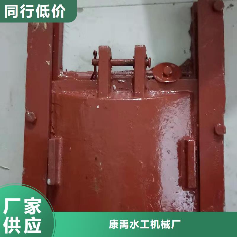 泵站铸铁闸门支持定制
