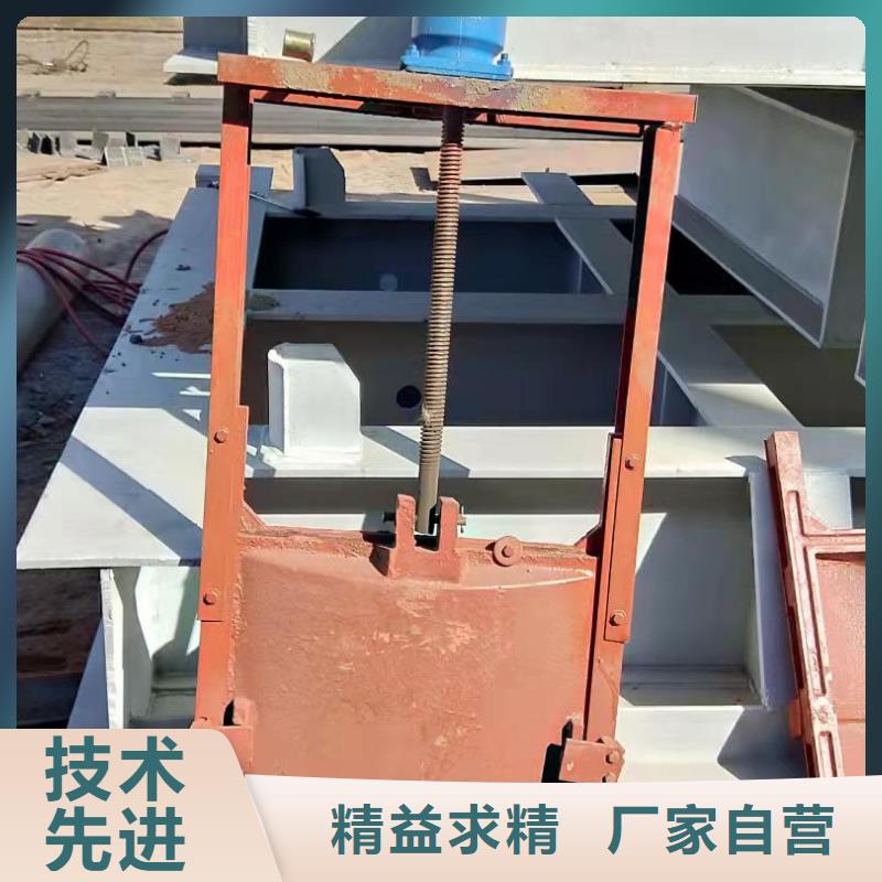 QPT卷扬启闭机厂家