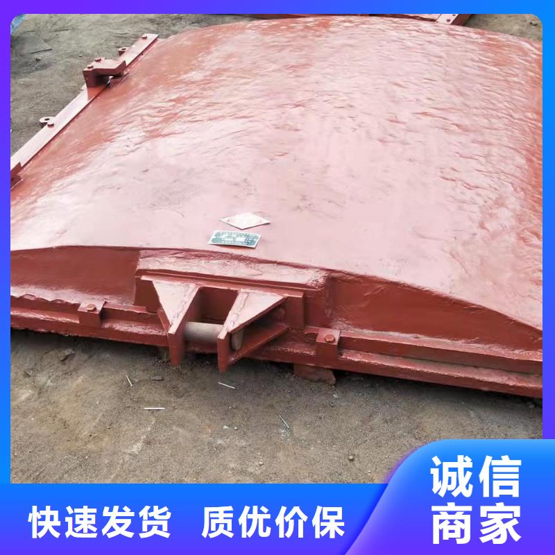 铸铁防潮闸门多少钱