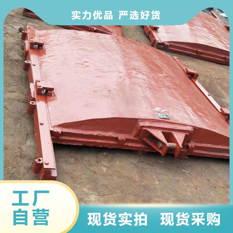手电两用铸铁方闸门价格