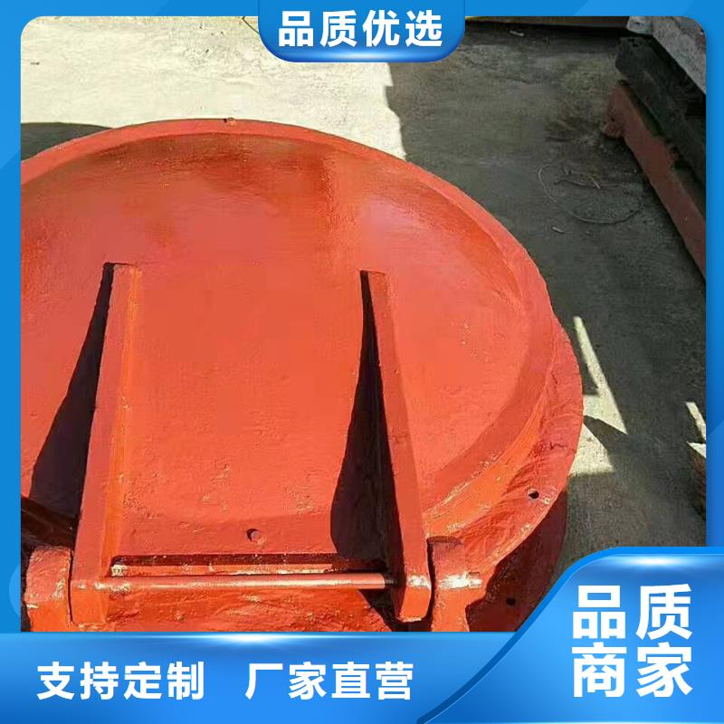 铸铁镶铜圆闸门电话