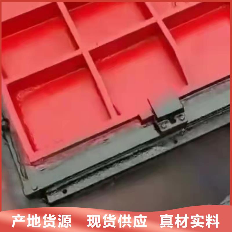 铸铁拍门规格齐全
