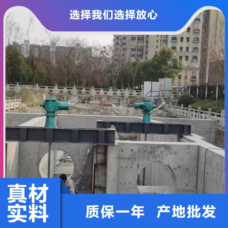 手提式铸铁闸门价格报价