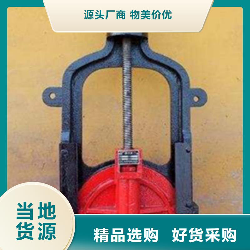 铸铁防潮闸门材质保证