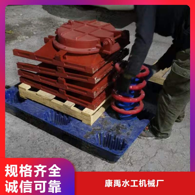 水利铸铁闸门材质保证