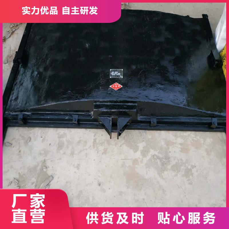 倾倒式钢闸门价格