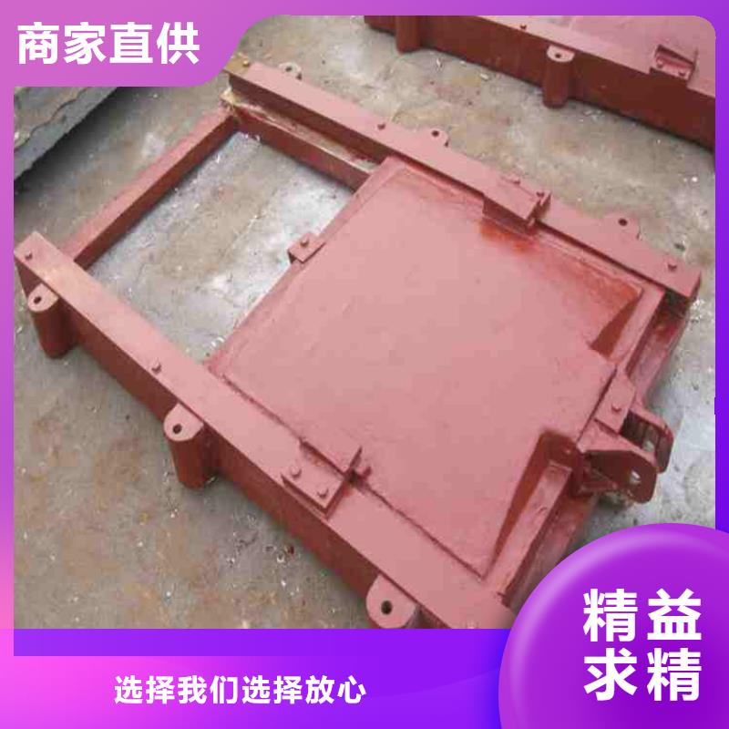 双吊点卷扬启闭机生产厂家