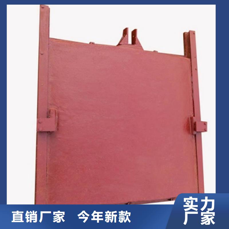 铜铸铁闸门价格多少钱