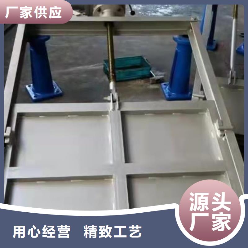 钢制闸门铸铁闸门