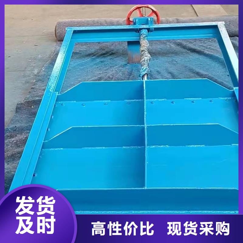 泵站上卧式闸门多种规格