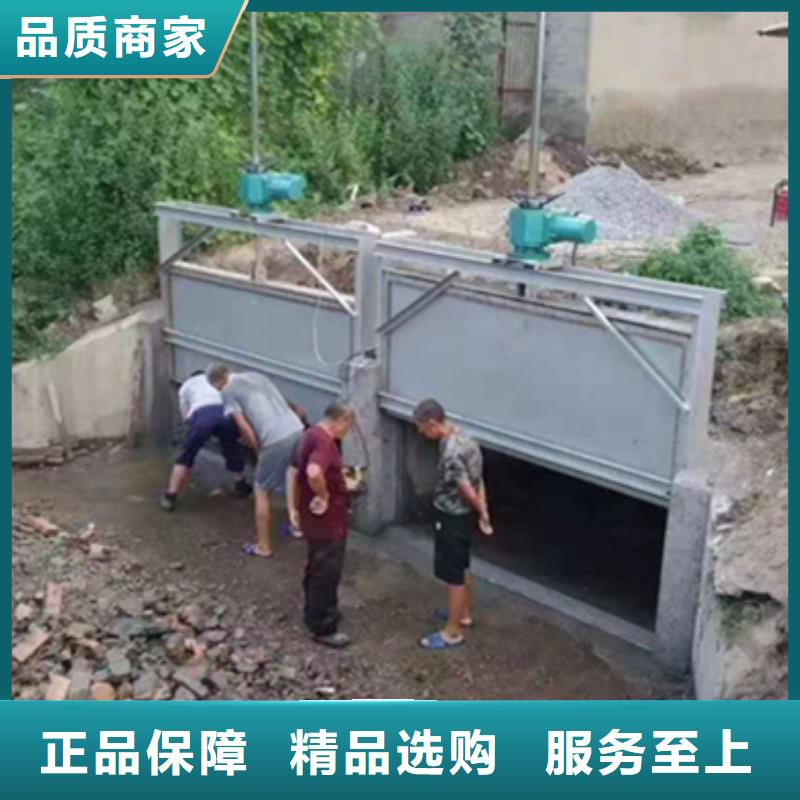 钢制闸门多少钱源头厂家