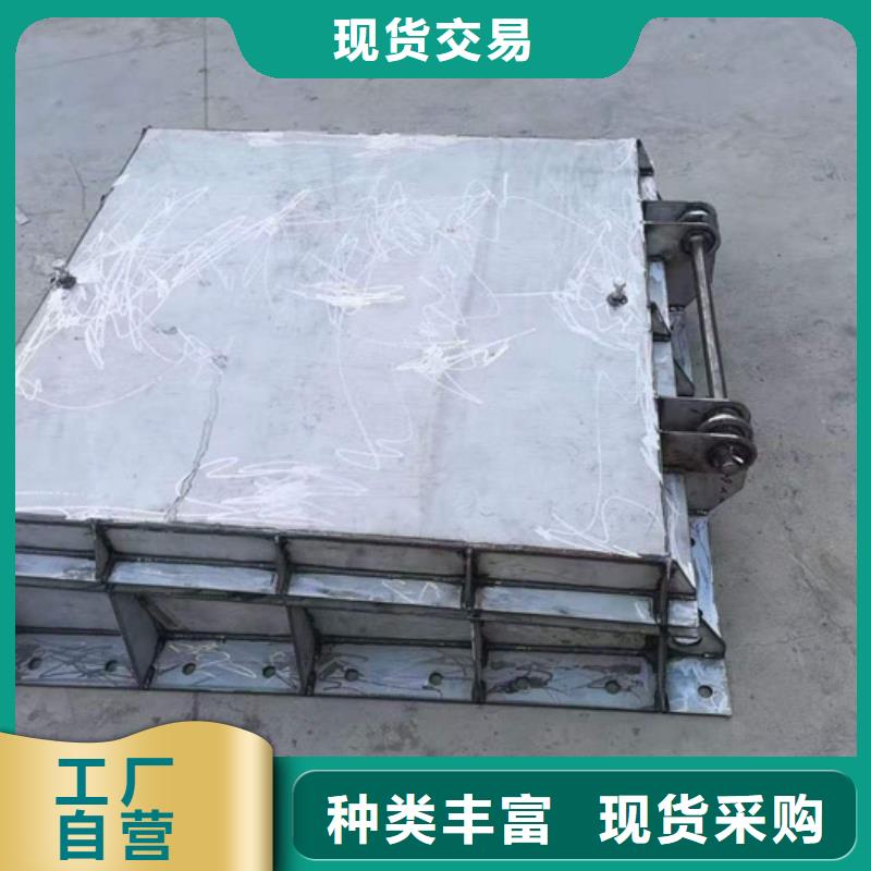 钢闸门匠心品质