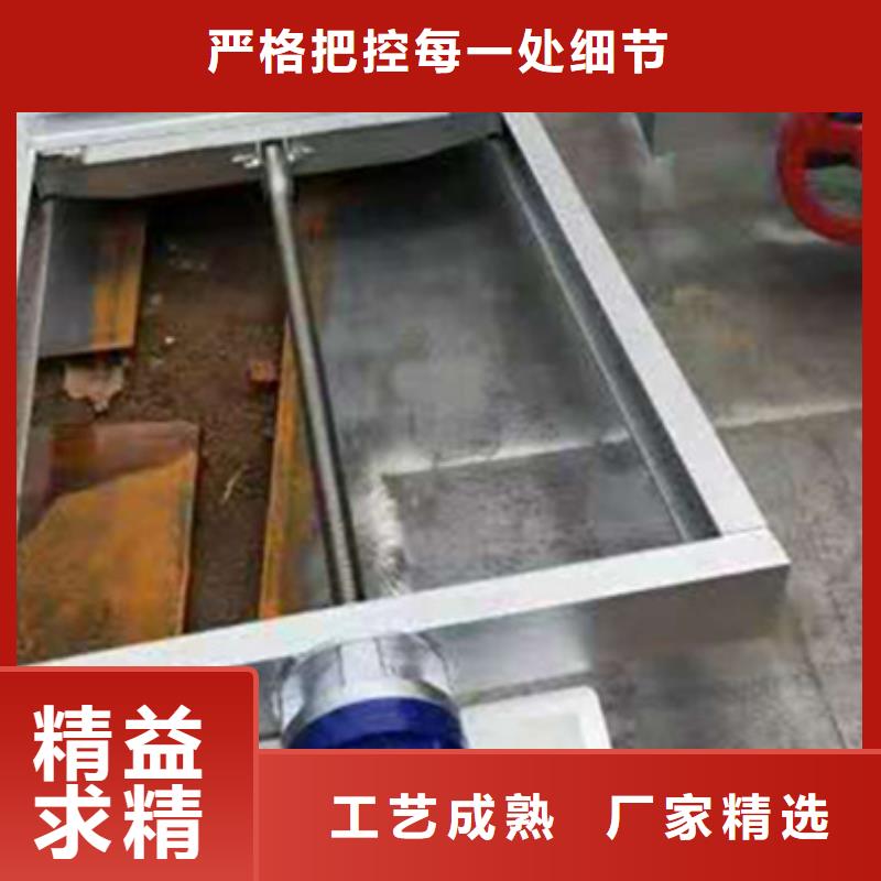 钢制平板闸门报价