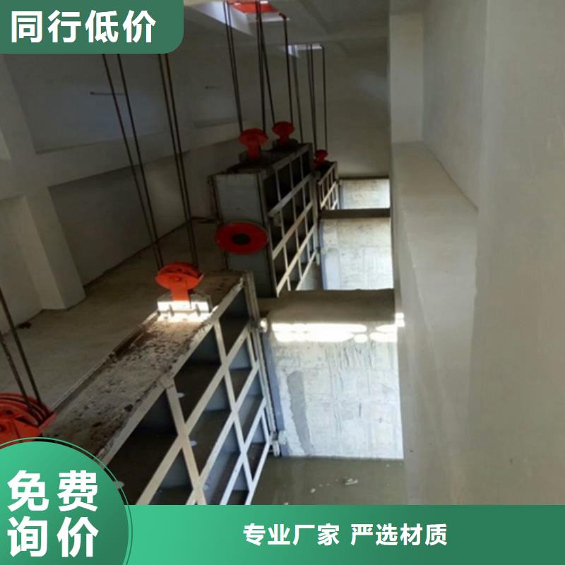 平板钢闸门-平板钢闸门量大从优