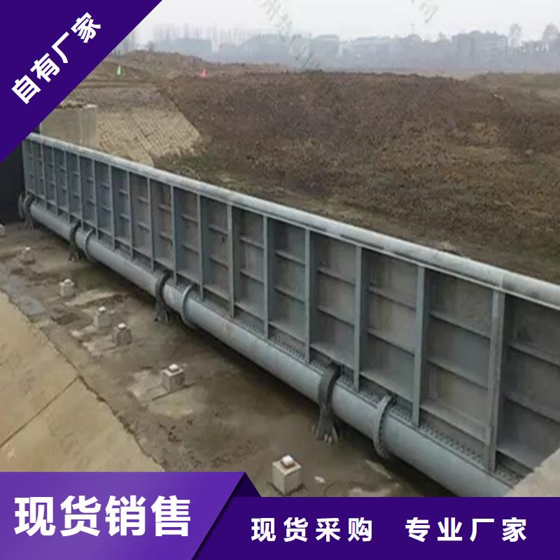 钢闸门满足客户所需
