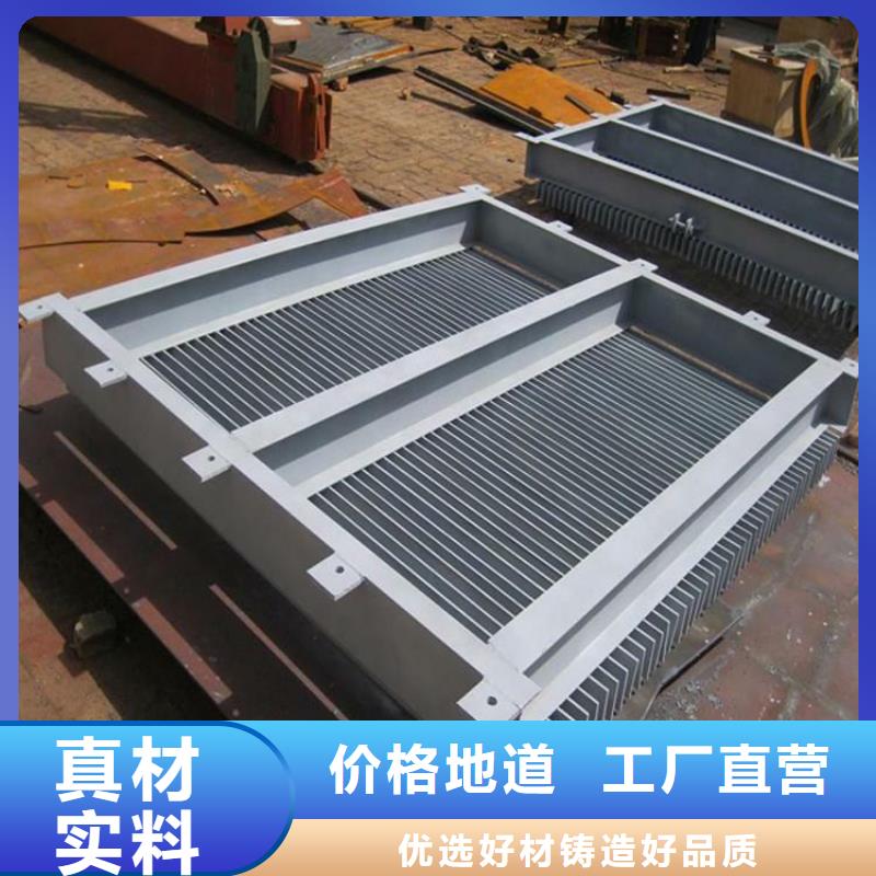 文昌市循环式齿耙清污机