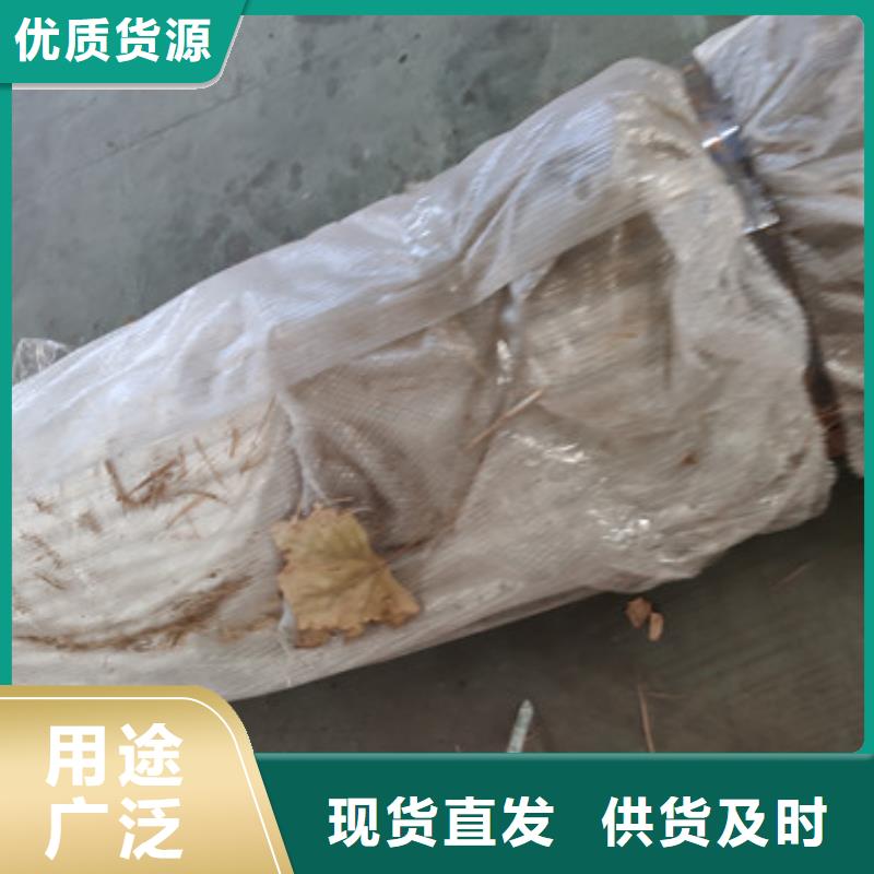 防撞锌钢灯光仿木护栏静电喷塑技术力量雄厚