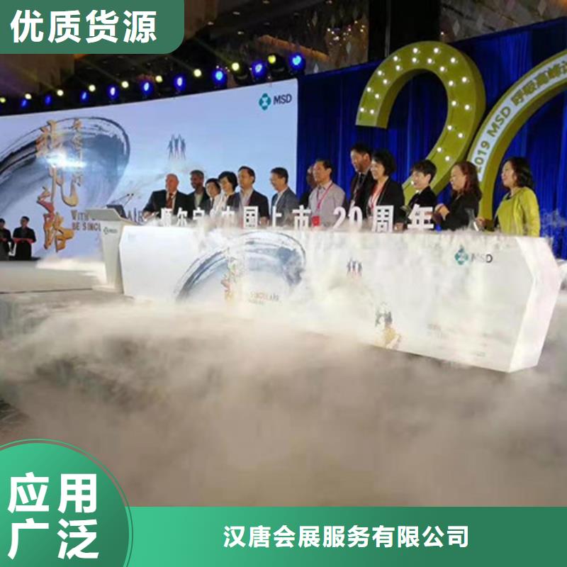 呵;会议晚会出租抖音台文昌海南启动道具租赁发光小树苗出租优势能量柱