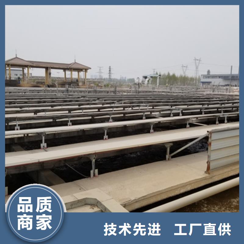 柱状活性炭