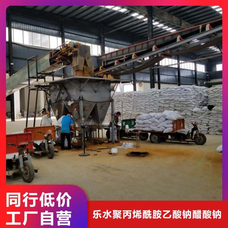 氯酸钠来厂考察