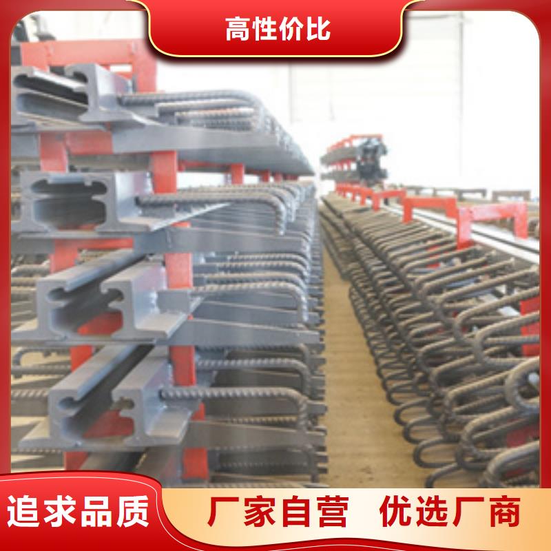 公路桥梁伸缩缝C型