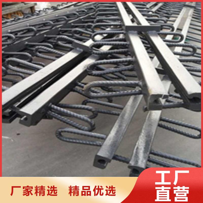 公路桥梁伸缩缝C型