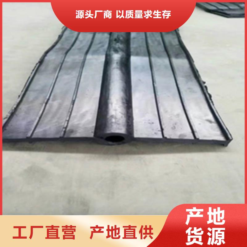 钢边橡胶止水带地铁用