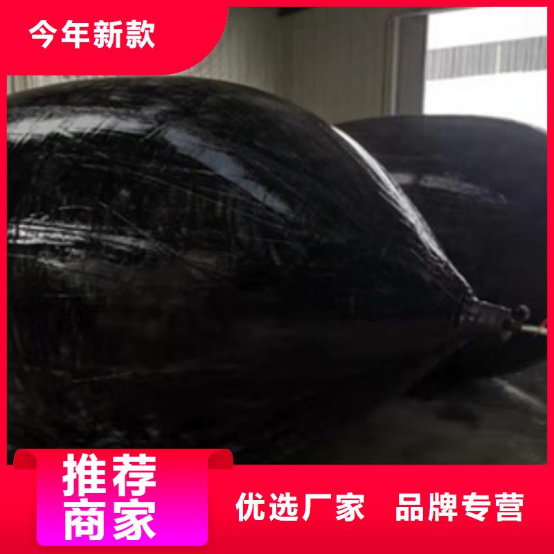 管道堵水气囊-封堵气囊DN800mm