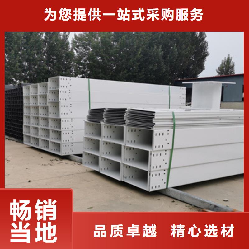 儋州市托盘式桥架工厂批发生产快