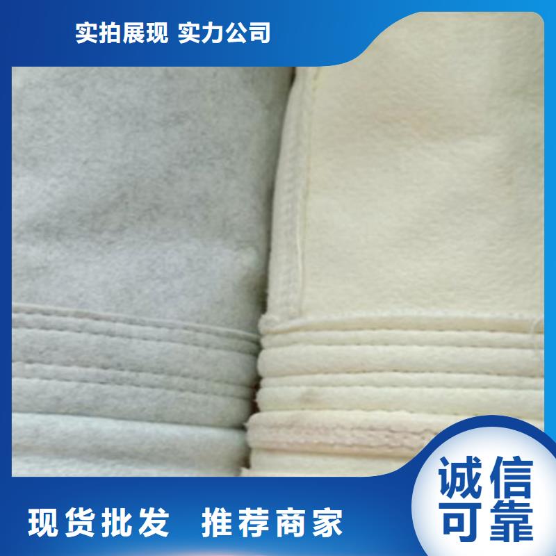 化工除尘器滤袋厂家直销