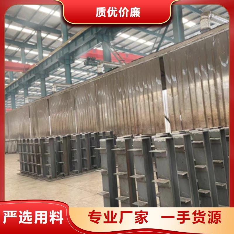 洛隆人行道防撞栏杆加工厂