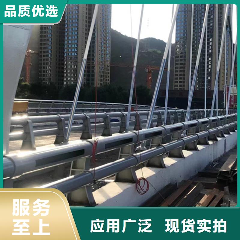 实力雄厚的桥梁隔离护栏厂家