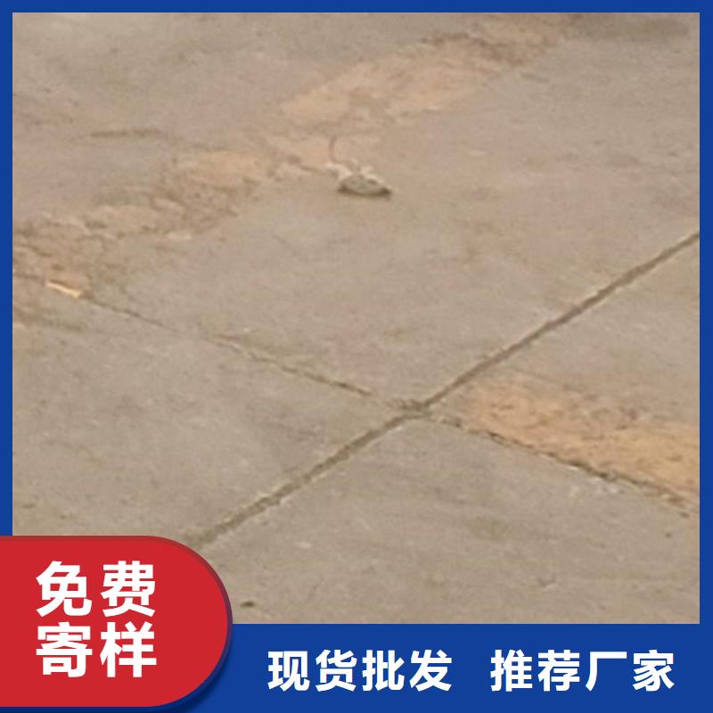 护栏-防撞护栏厂今日价格