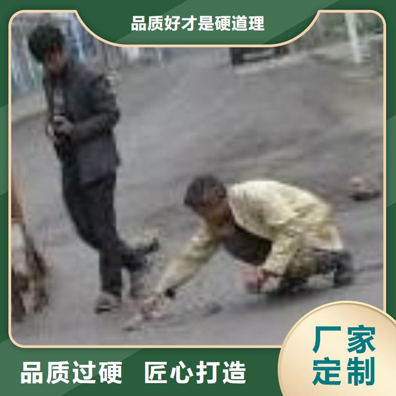 公路路面修补报价