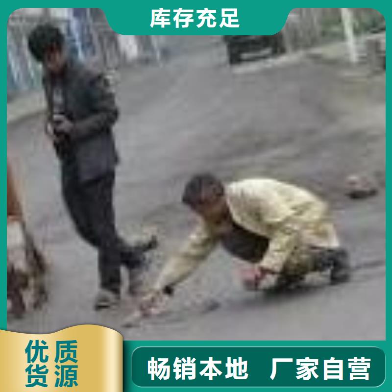 伸缩缝快速修补料欢迎订购优选