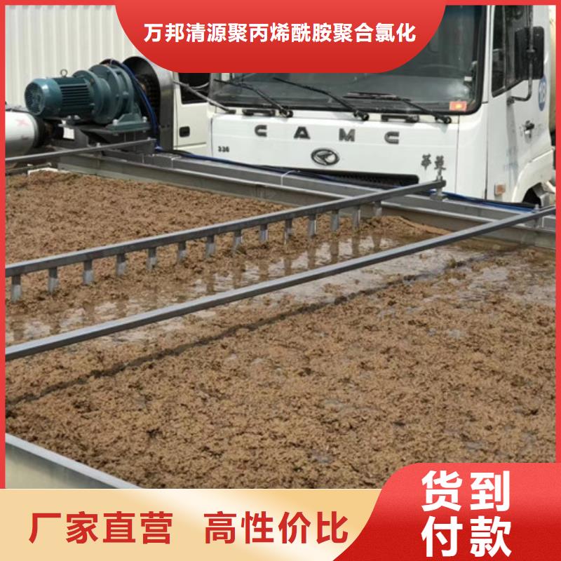 洗沙白药厂家