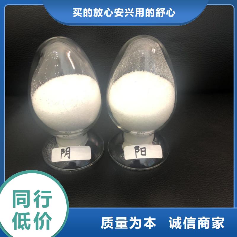 定制孢子聚集剂_实力厂家