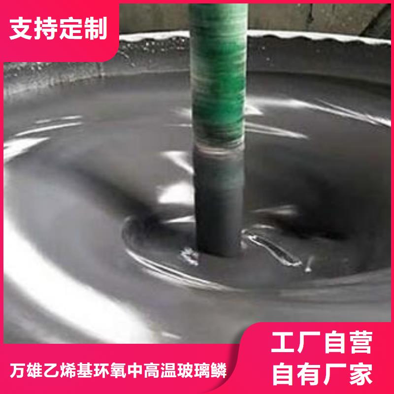 环氧型玻璃鳞片胶泥生产厂家