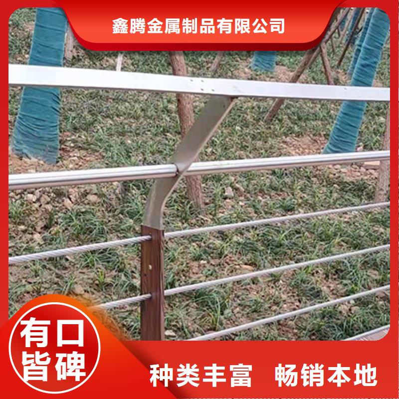 钢丝绳护栏_灯光护栏满足客户需求