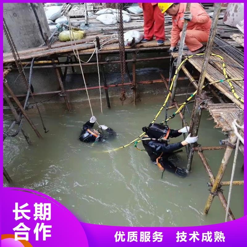 水下沉管技术专业