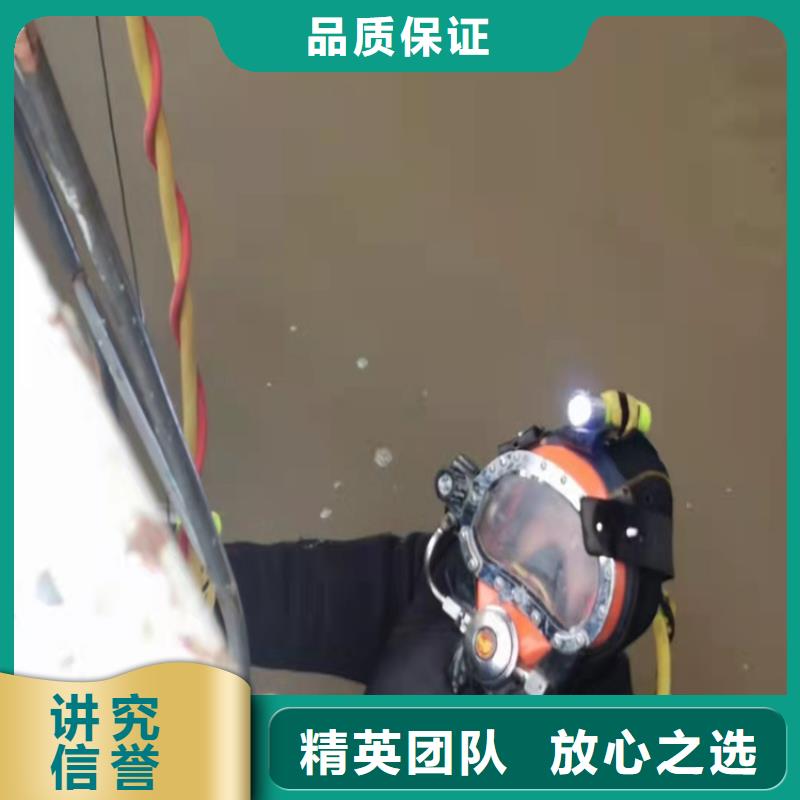 蛙人服务公司信息2025更新中