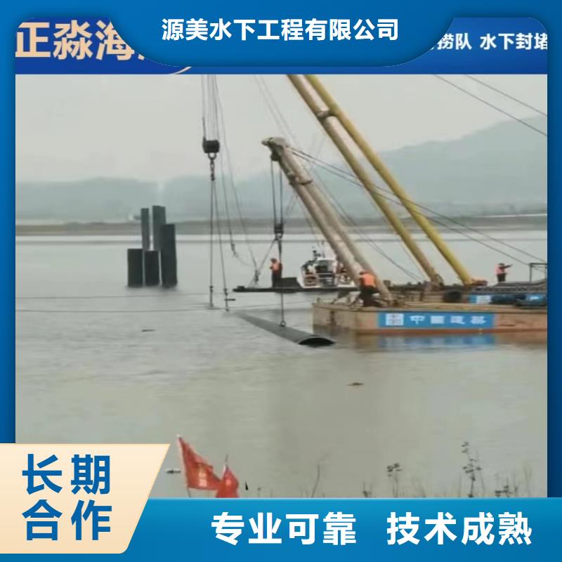 潜水员服务公司供应商2025更新中