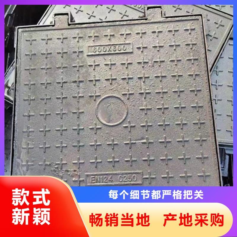 侧立式球墨铸铁篦子厂家直销**价格低